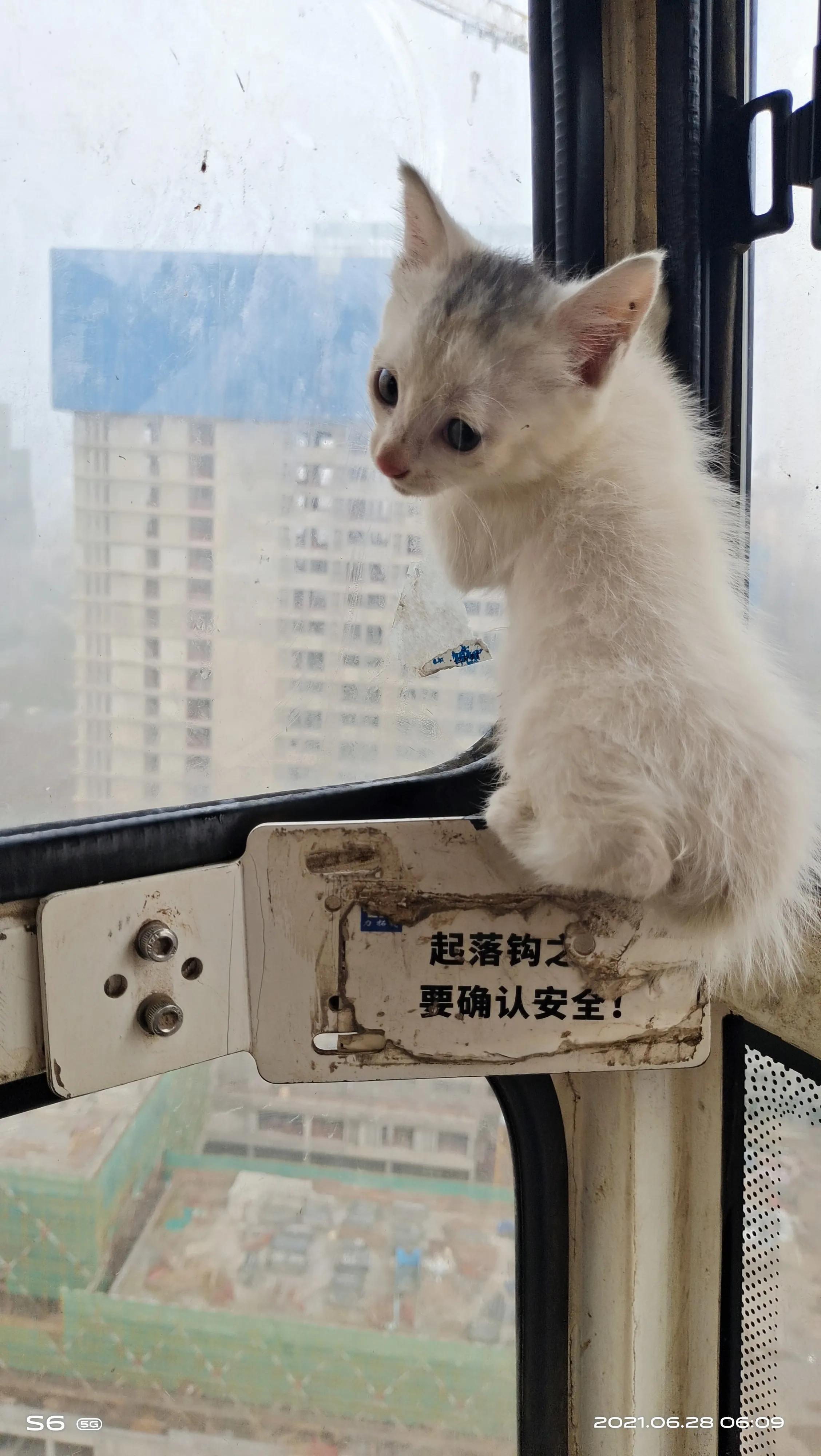 记录工地塔吊司机日常生活,工地电梯升降机司机生活