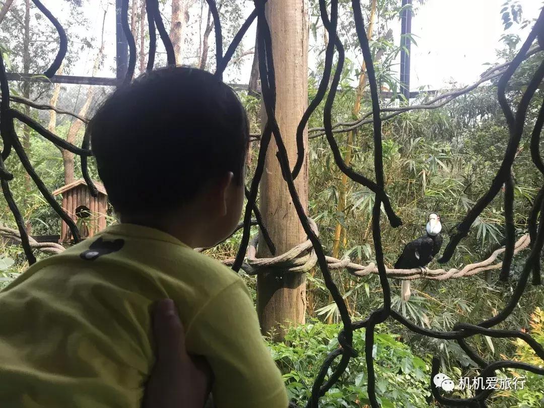 珠海长隆和广州长隆旅行攻略,珠海长隆和广州长隆旅游攻略区别