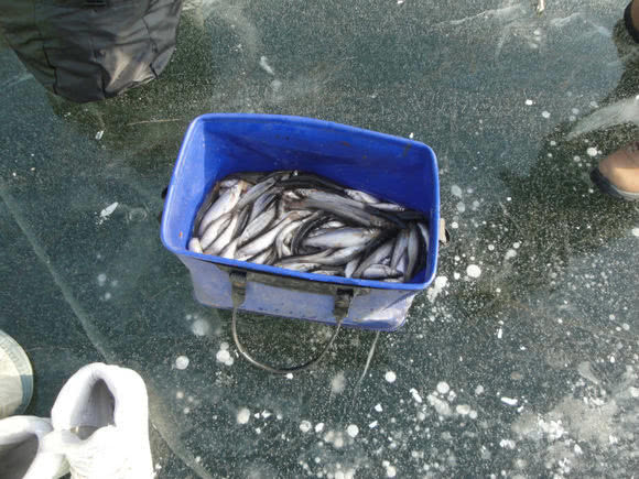 冰钓的十大技巧,冬季北方冰钓的八大禁忌