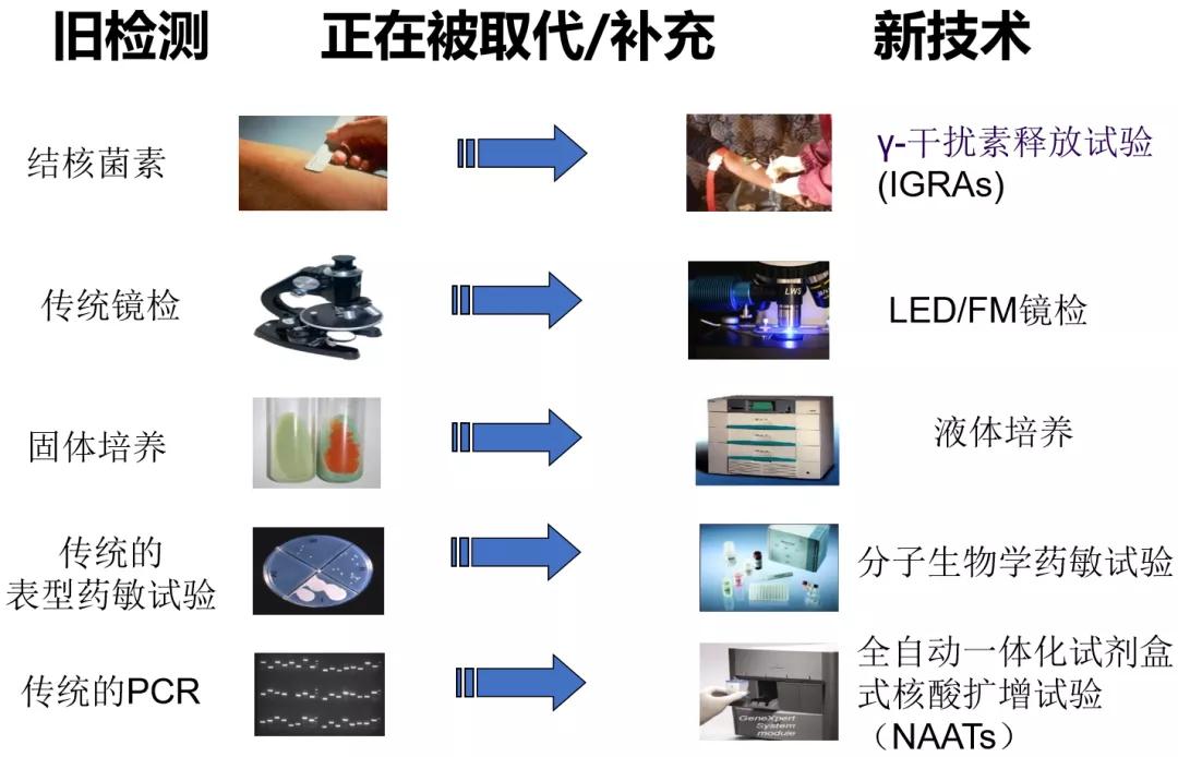 结核诊断方法和防治原则,结核的病原学诊断