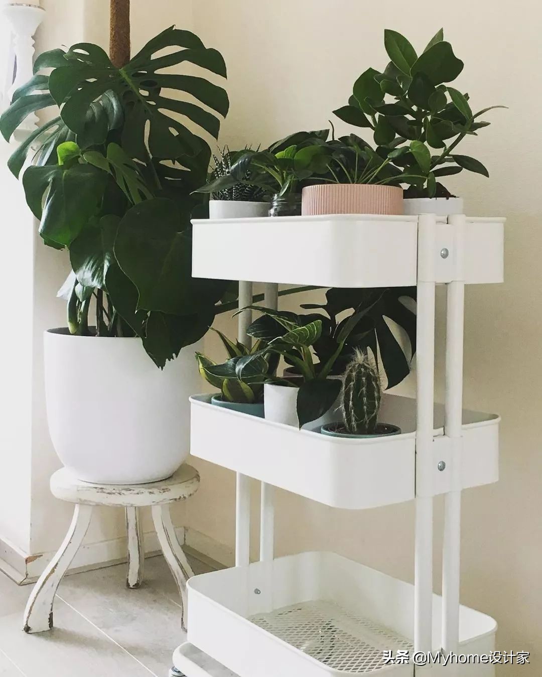 瀹滃鍜宮uji瀹跺眳,瀹滃muji