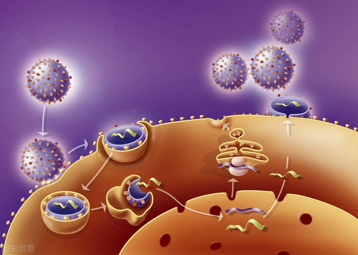小孩发烧看中医好还是西医好,中医对待发烧的正确方法是什么