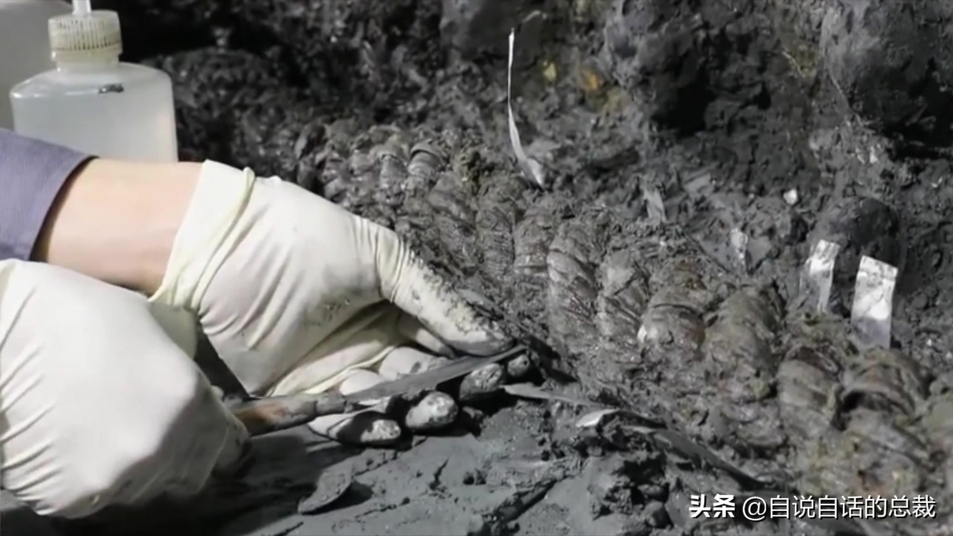 南海惊现神秘古沉船 (中国在南海发现的沉船)