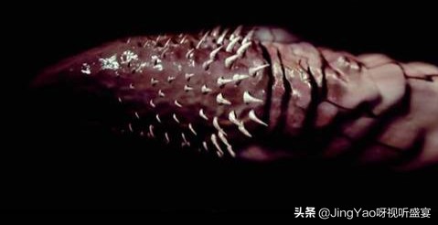 雄性:猫、虎除了舌头,还有一个器官长倒刺!连蛇也有不可思议!