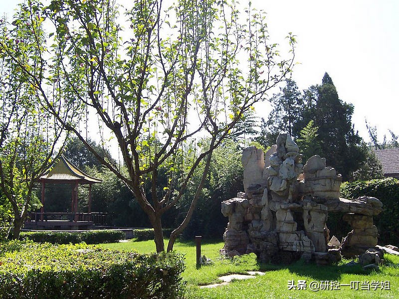 北京师范大学考研经验：学姐普通二本三跨二战北师大教育学硕士