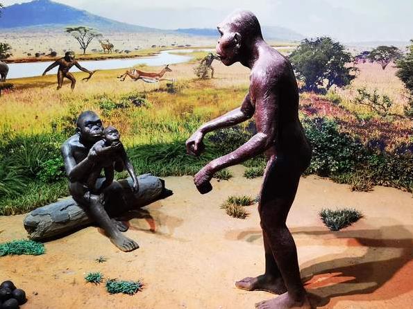 北疆博物馆历史,北疆博物馆最早建立的时间