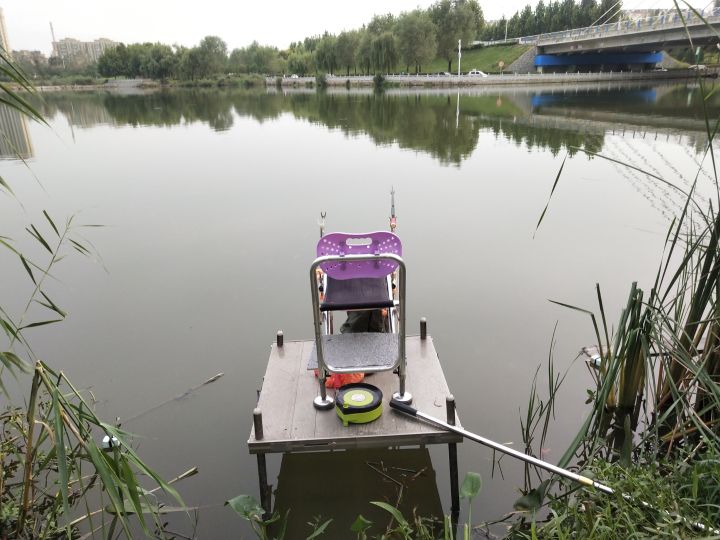 蚯蚓红虫钓鲫鱼的正确方法与技巧,蚯蚓红虫商品饵哪个钓鲫鱼好