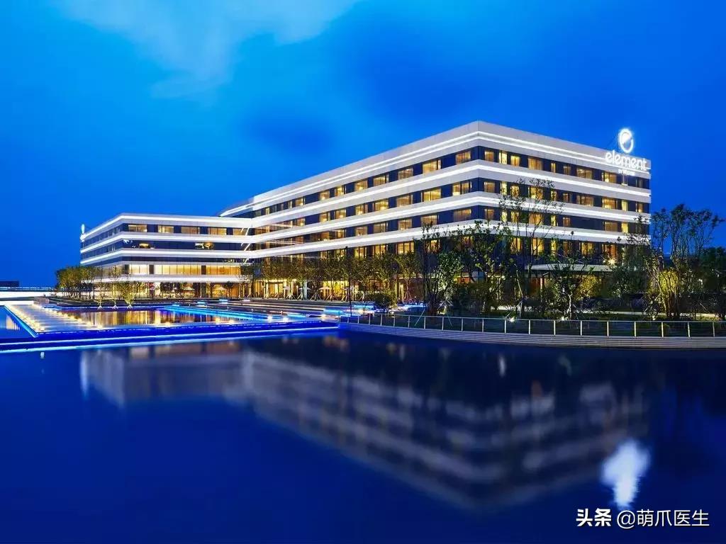 上海可带宠物入住的酒店推荐,怎么选宠物友好酒店房间