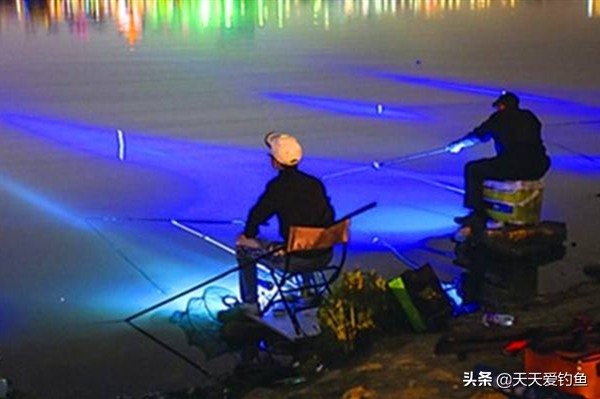 冬天夜钓鱼口轻怎么调漂,秋天夜钓鱼口轻怎么调漂