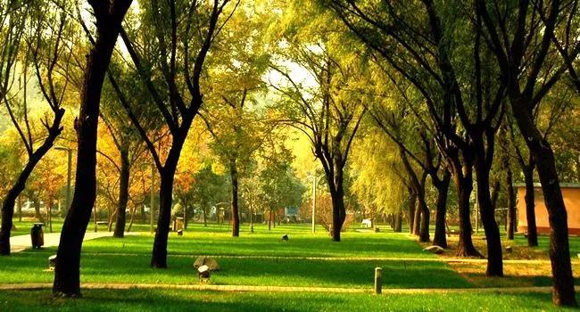 地铁3号线附近有哪些新盘,3号线周边地铁盘