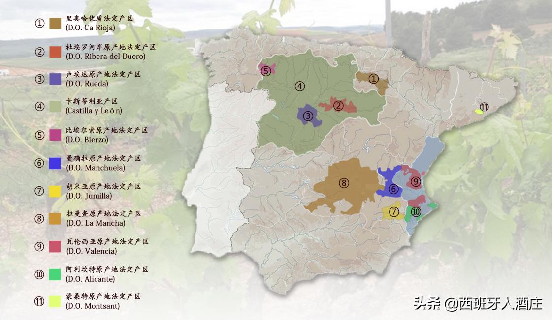 走进葡萄酒专卖店,走进葡萄酒庄园视频