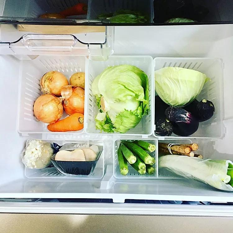 拉开别人家的冰箱，我才发现自己居然用错了10年