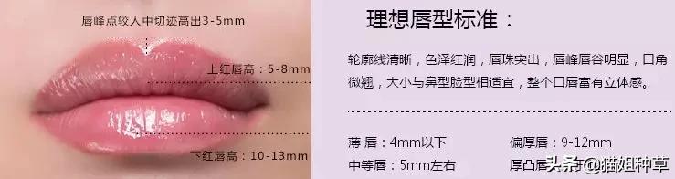 最漂亮标准嘴唇,现代女性新标准图片