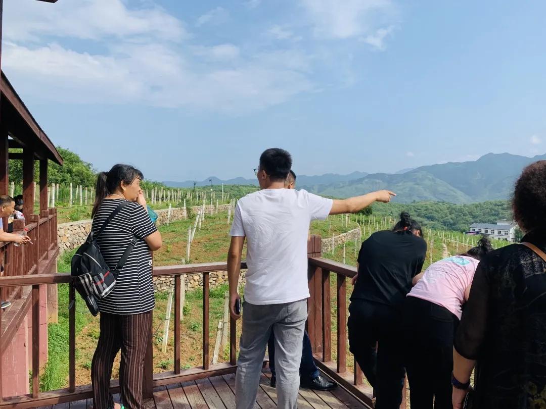 渭南丹凤葡萄酒厂新闻报道,西安客户来考察