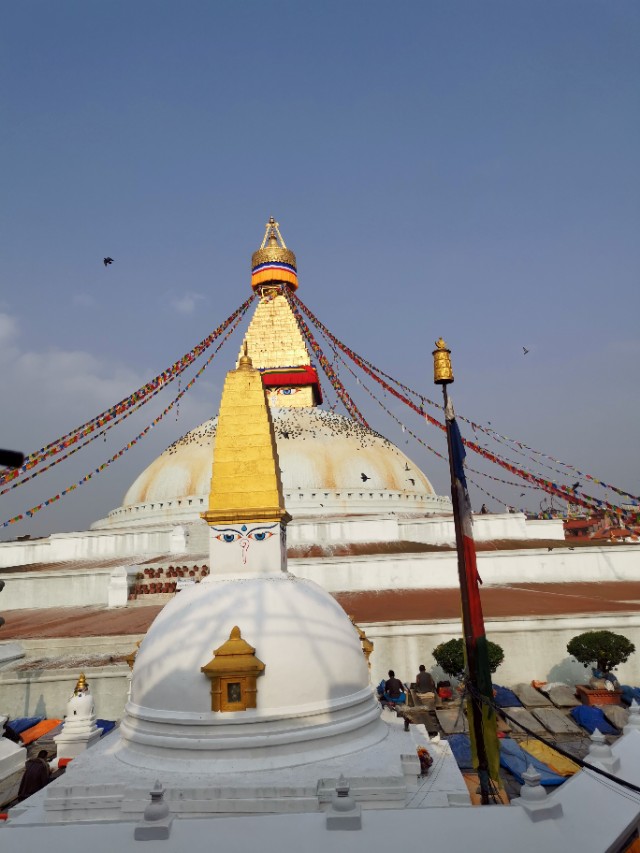 示单ll身体的疼痛是关在笼子里的猴子