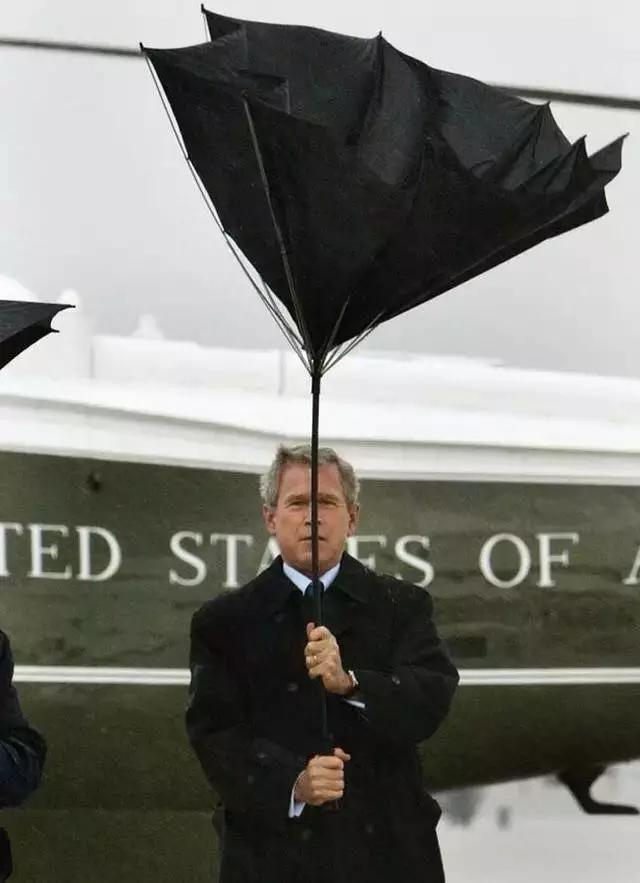 100张惊人奇怪照片,100张绝对惊人的照片