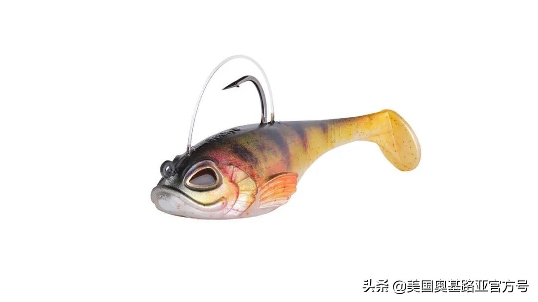 全国渔具展会2021时间表图片,2023国际渔具展会大全一览表