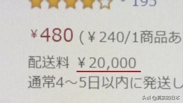 运费被骗2000多怎么解决,日本诈骗最新案例