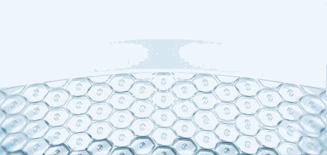 妮娜泰勒是谁,妮娜泰勒的手