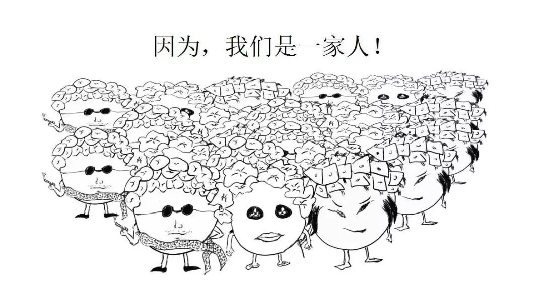 关于高龄备孕、HPV感染和宫颈癌的复杂纠葛