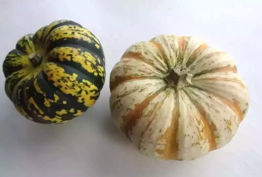 中号南瓜的钩织全教程,各种小南瓜钩织教程