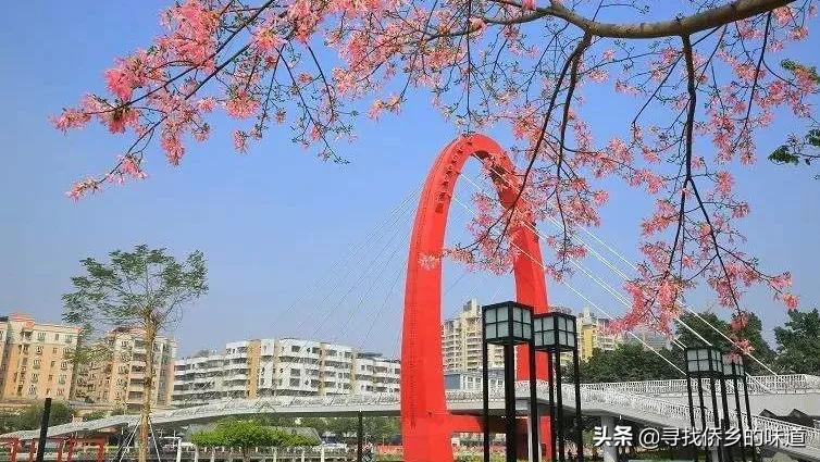 你见过什么样的海,你想象的江门