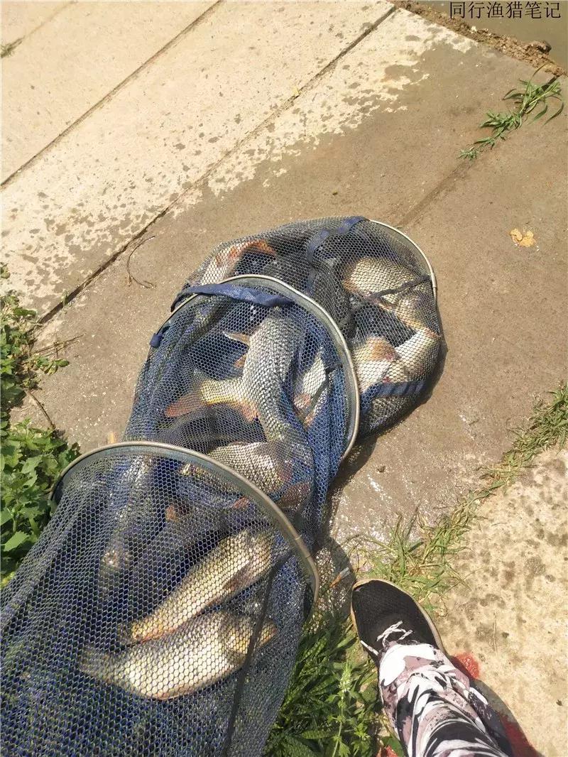 从钓鱼大师到钓鱼圣人,钓鱼大师为啥都是小钩细线钓大鱼