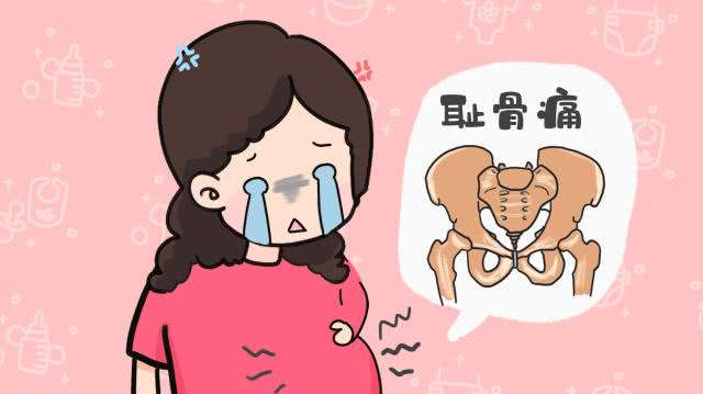 让人痛到怀疑人生的耻骨痛，孕妈要怎样缓解？