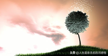 财富智慧,智慧的财富书籍