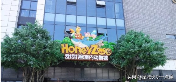 长沙盘小宝亲子乐园适合多大孩子,长沙周末亲子好去处