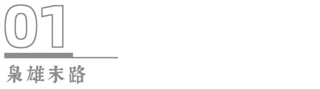 *手党黑**传奇教父＋悲情烂片导演，这部电影是真正的灾难艺术品