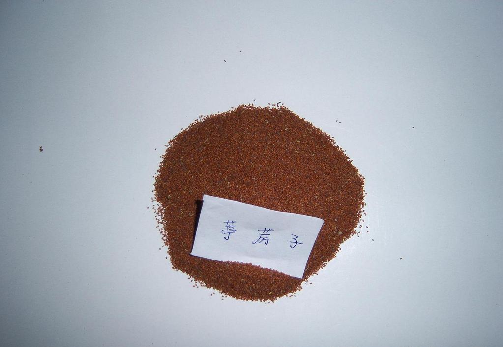 治疗心力衰竭最常用的药物名称,心力衰竭常用药物的适应症和禁忌