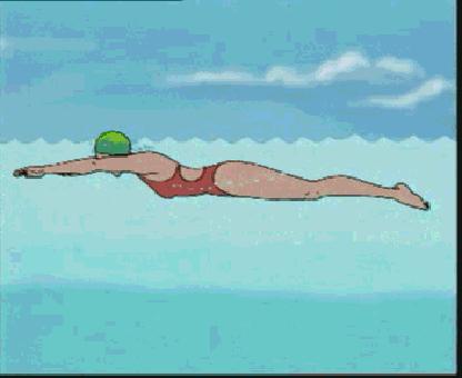 游泳的四种泳姿全学会要多久,游泳必学的四种泳姿你掌握了几种