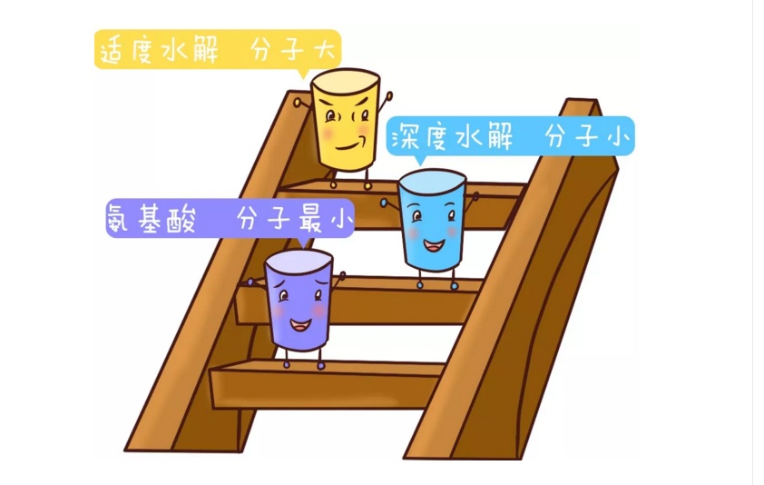 如何给宝宝选择易消化吸收的奶粉,深度水解奶粉怎么选择