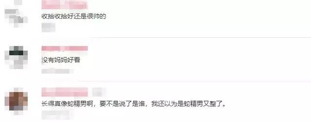 李玲玉吴磊,李玲玉混血儿子近照曝光