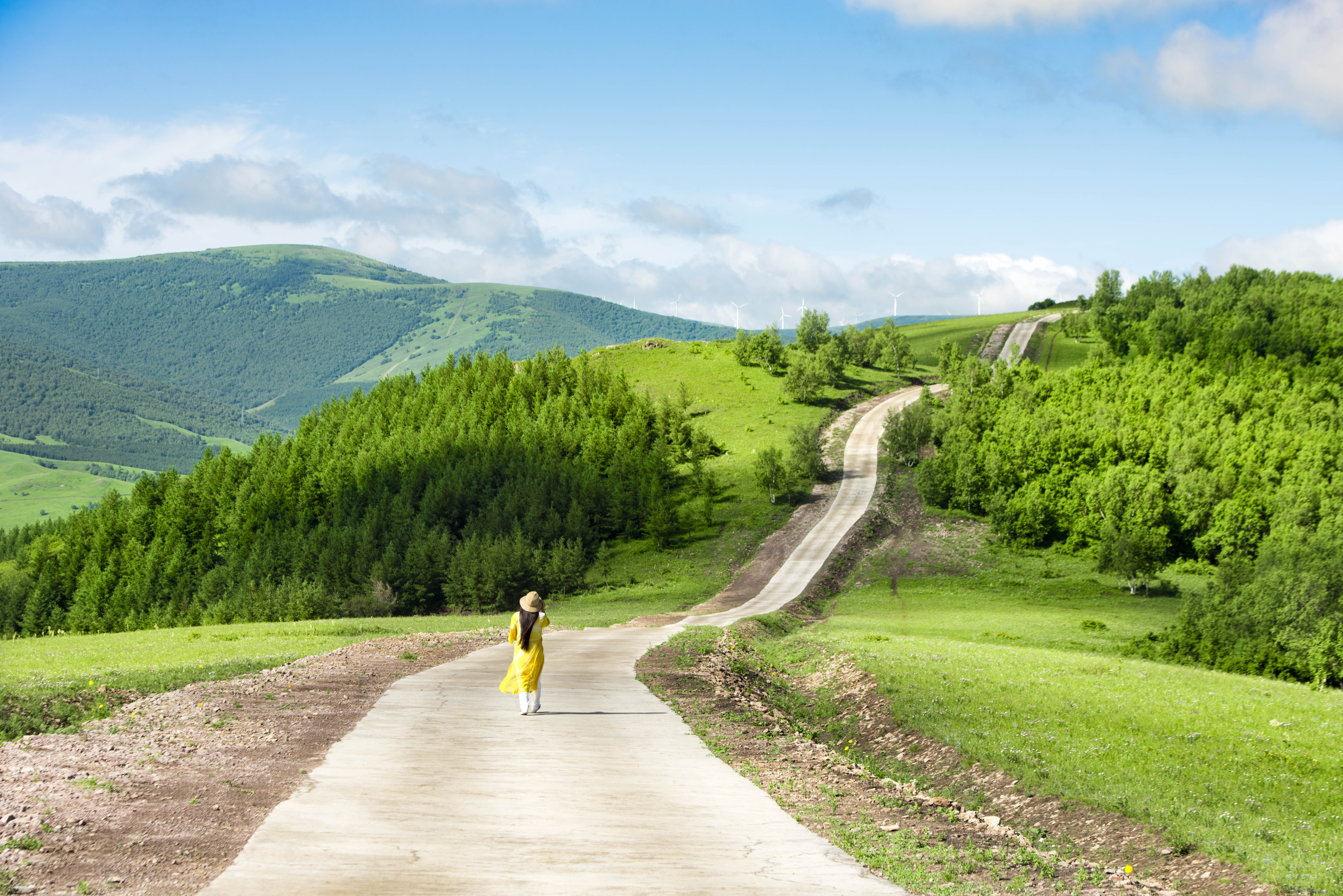京北第一天路千松坝森林公园,京北第一草原景区和千松坝