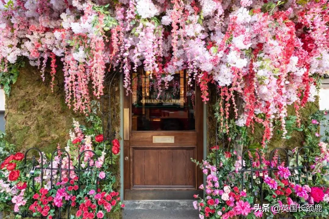 520/521：五月阳光下，伦敦依然盛放。记得常回来看看