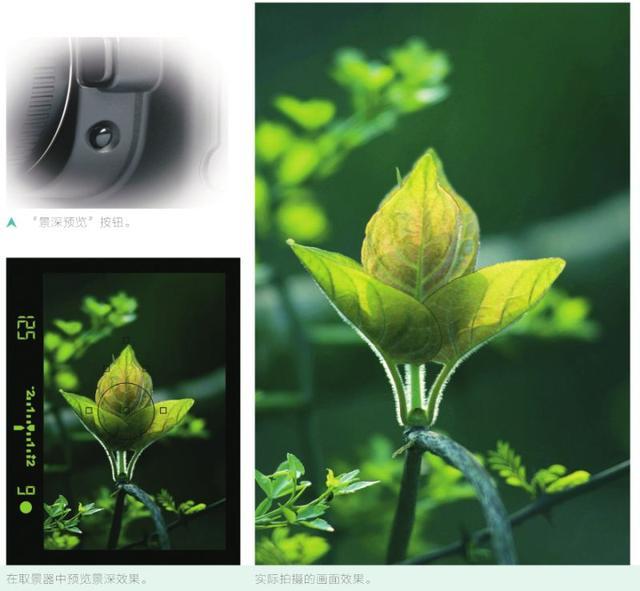 光圈景深物距景深,摄影中决定景深大小