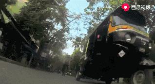 流浪狗狗遇到爱它的主人,流浪狗需要被疼爱