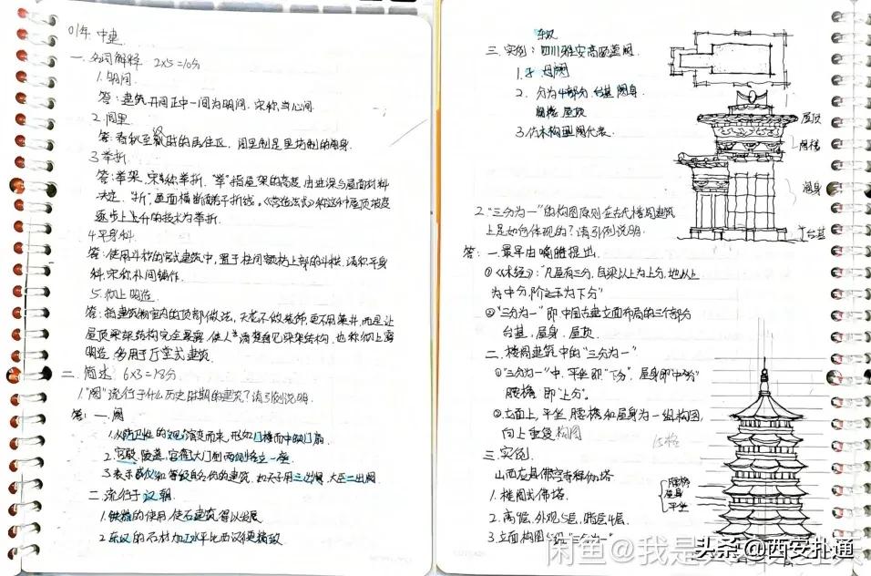 给狗相亲,代吃代喝...西安人在闲鱼上到底在卖啥?