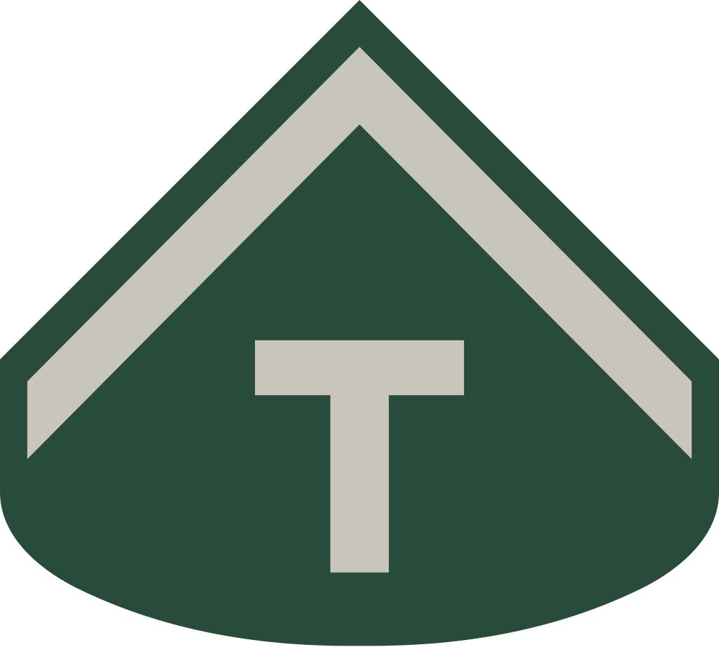 巴西军队标志,巴西海军军衔