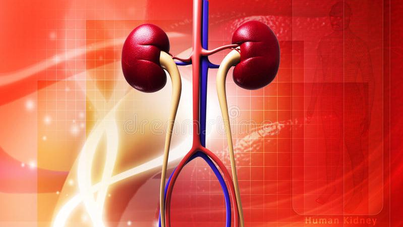 导致尿黄的各种原因,解小便感到小便烫是什么原因