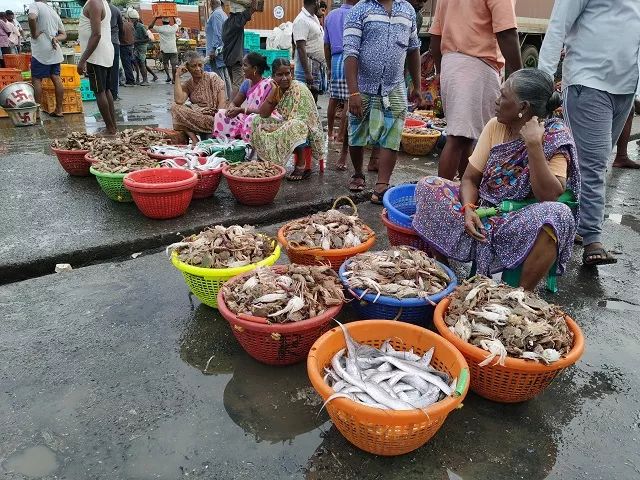 进博会印度今年有什么产品,印度人评进博会带货