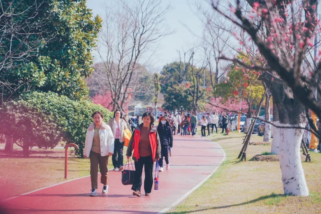南京赏梅花的绝佳位置,南京赏梅花的最佳地方