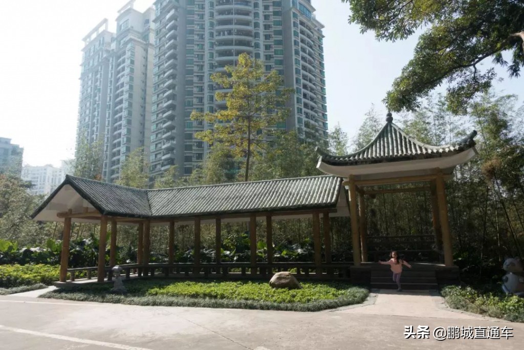 深圳小众主题公园免费,深圳所有景区