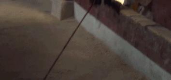 2023韩剧豆瓣排行榜,2019年豆瓣十佳韩剧