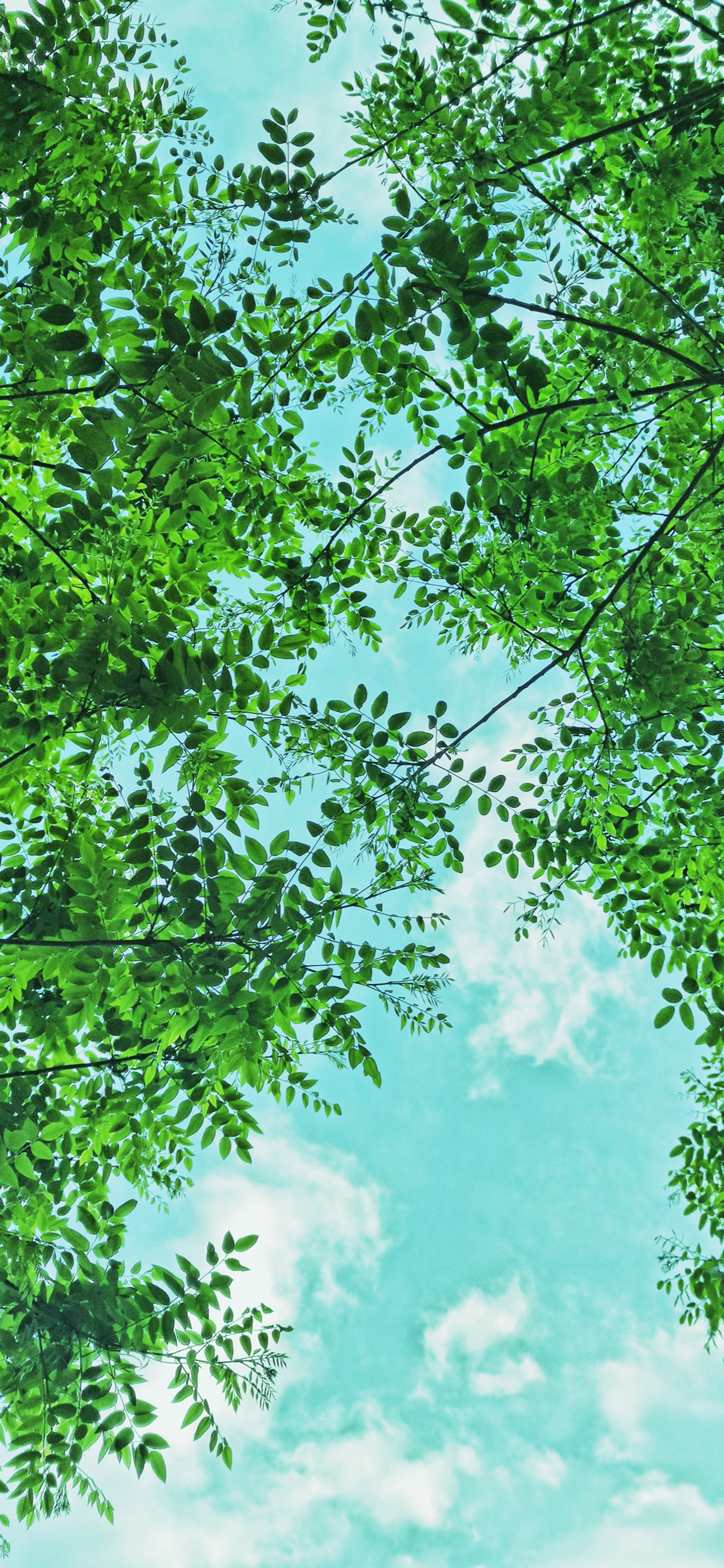 高清风景壁纸｜你静候着秋天的温柔，留我在风景之外