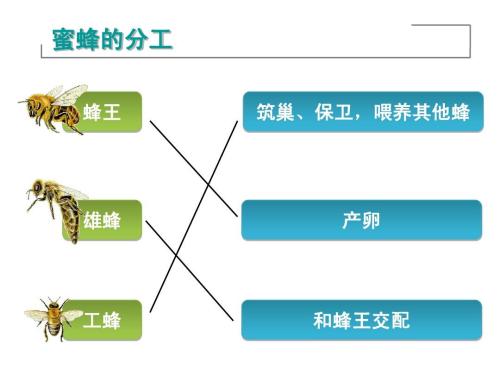 认知障碍：我们必然看不见真实的世界，我们只能看见自己的世界