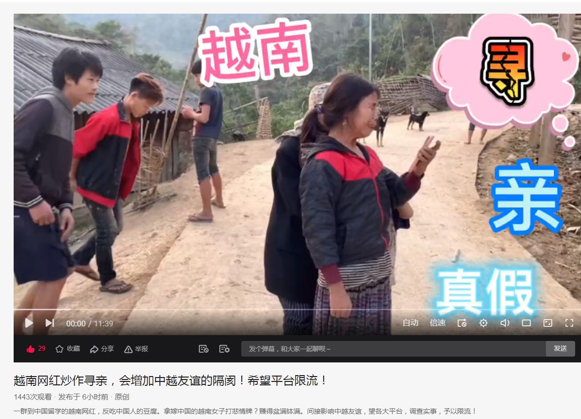 越南桃子、小丽、阿梅、春宝、四川小伙在越南等老街帮博主的分析