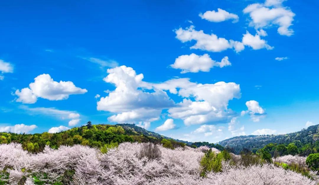 如果2月可以畅快出行，我真想走遍国内这9个地方